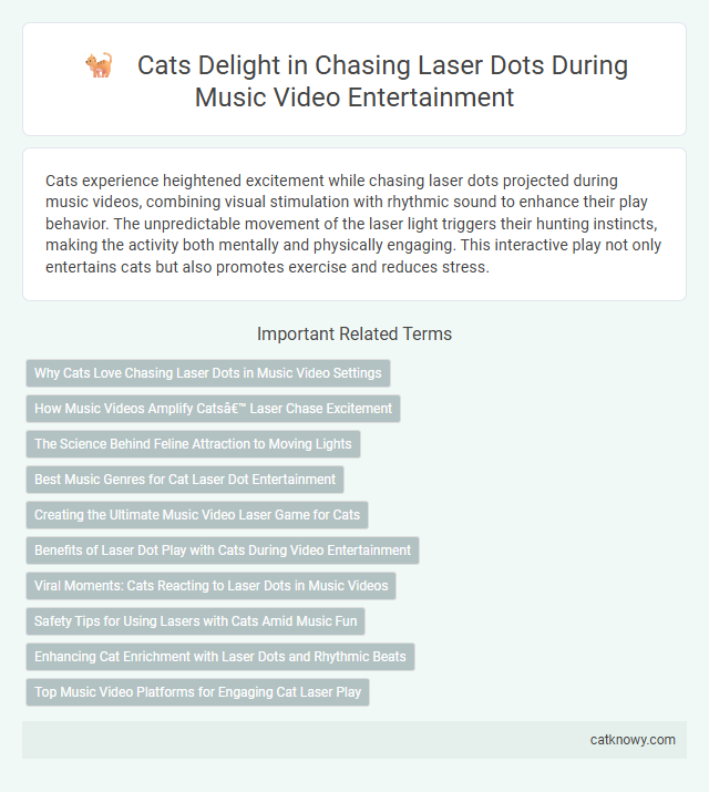 Cats Delight in Chasing Laser Dots During Music Video Entertainment