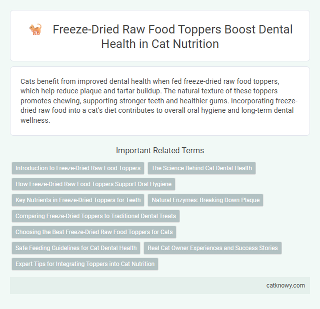 Freeze-Dried Raw Food Toppers Boost Dental Health in Cat Nutrition