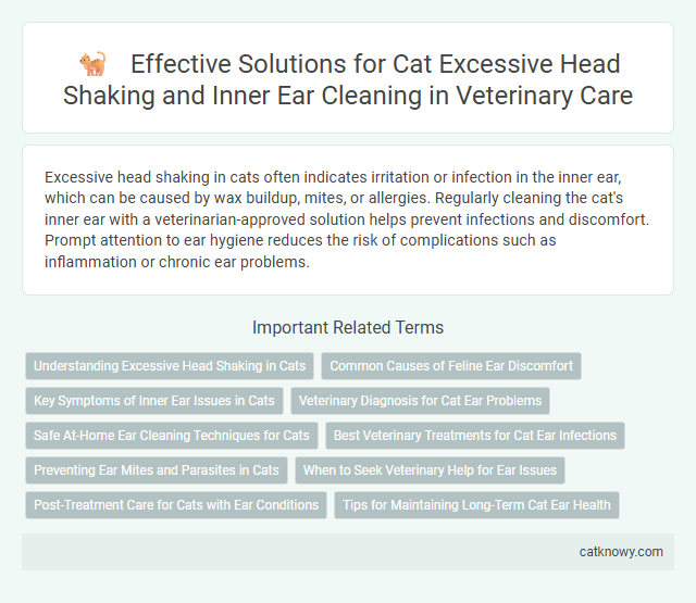 Effective Solutions for Cat Excessive Head Shaking and Inner Ear Cleaning in Veterinary Care