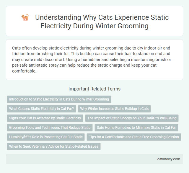 Understanding Why Cats Experience Static Electricity During Winter Grooming