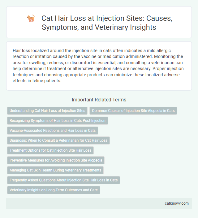 Cat Hair Loss at Injection Sites: Causes, Symptoms, and Veterinary Insights