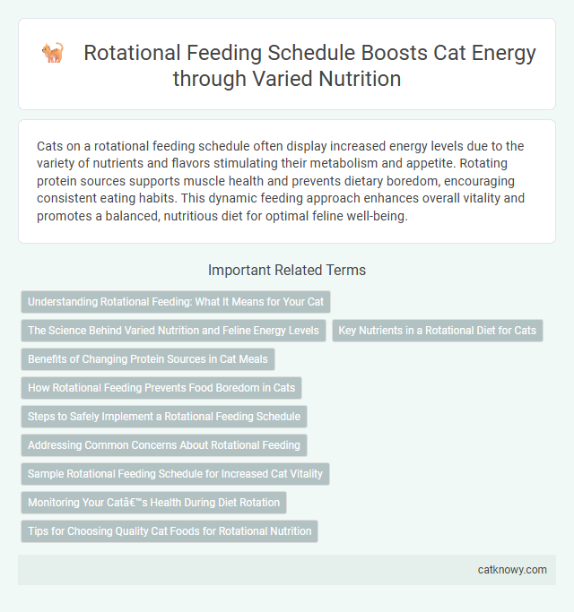 Rotational Feeding Schedule Boosts Cat Energy through Varied Nutrition