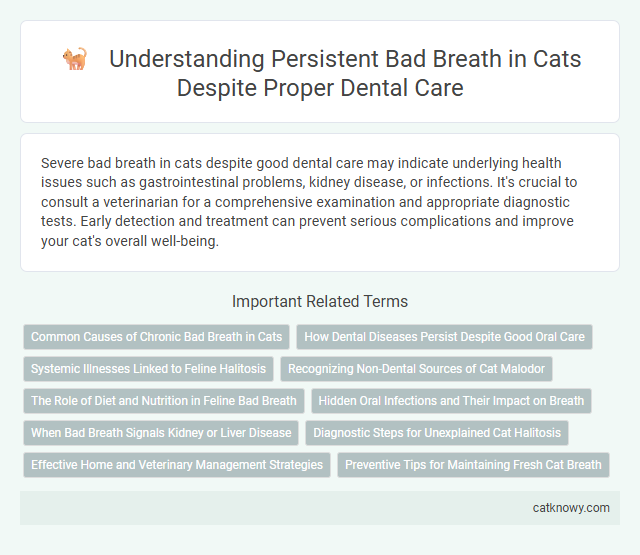 Understanding Persistent Bad Breath in Cats Despite Proper Dental Care