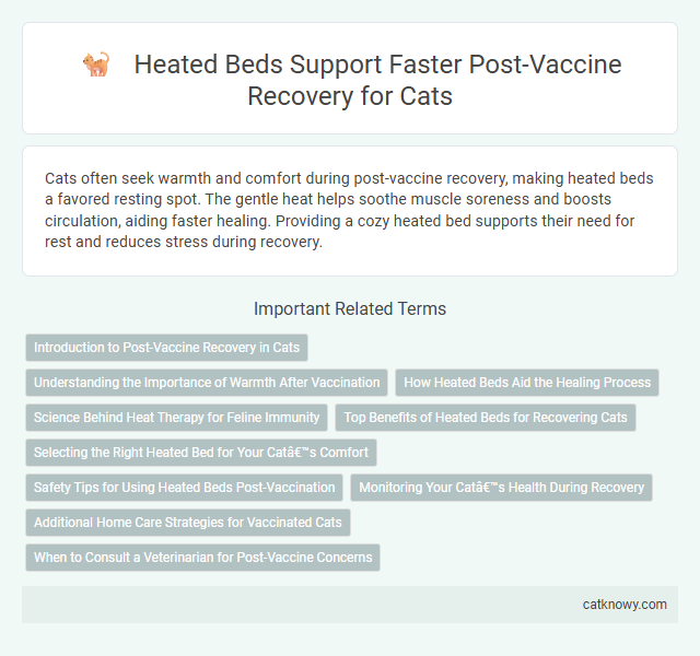 Heated Beds Support Faster Post-Vaccine Recovery for Cats