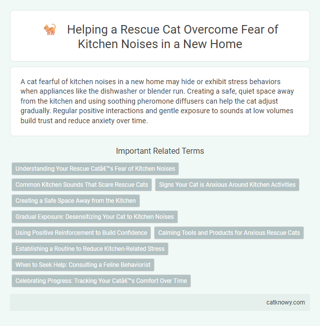 Helping a Rescue Cat Overcome Fear of Kitchen Noises in a New Home