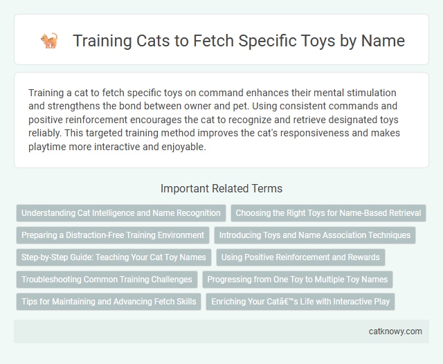Training Cats to Fetch Specific Toys by Name