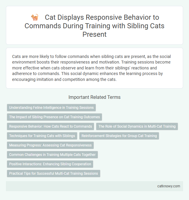 Cat Displays Responsive Behavior to Commands During Training with Sibling Cats Present