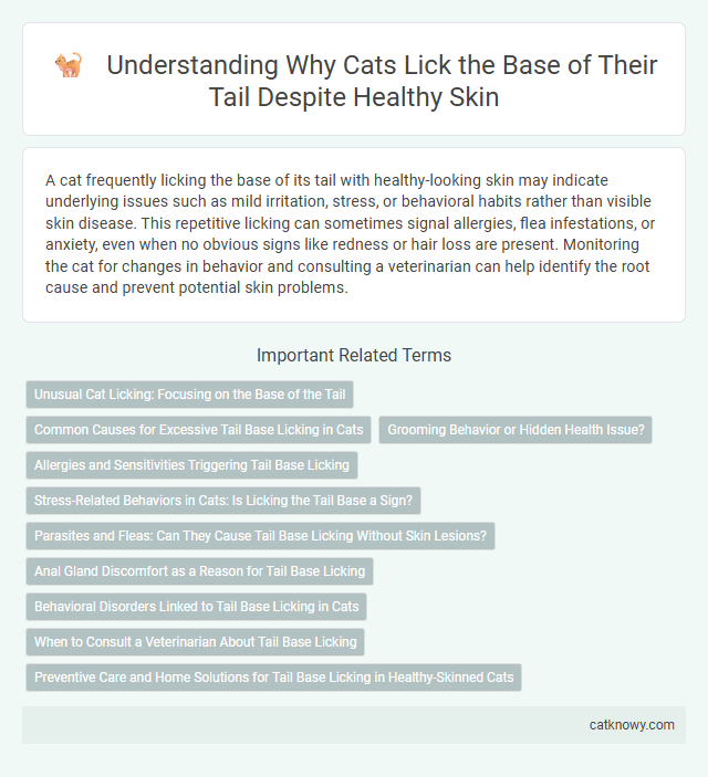 Understanding Why Cats Lick the Base of Their Tail Despite Healthy Skin