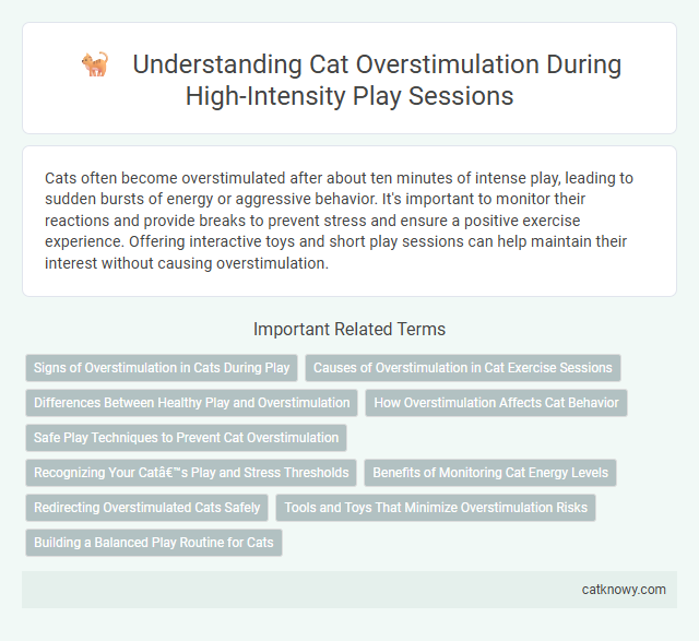 Understanding Cat Overstimulation During High-Intensity Play Sessions