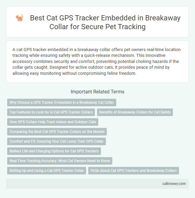 Best Cat GPS Tracker Embedded in Breakaway Collar for Secure Pet Tracking
