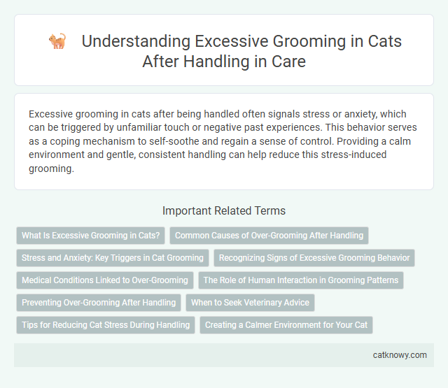 Understanding Excessive Grooming in Cats After Handling in Care