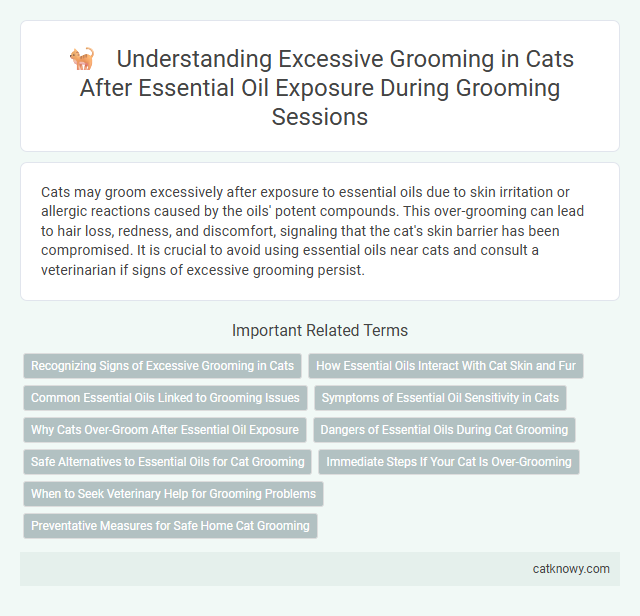 Understanding Excessive Grooming in Cats After Essential Oil Exposure During Grooming Sessions