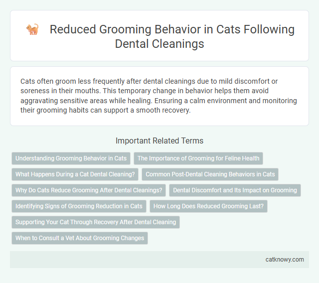 Reduced Grooming Behavior in Cats Following Dental Cleanings
