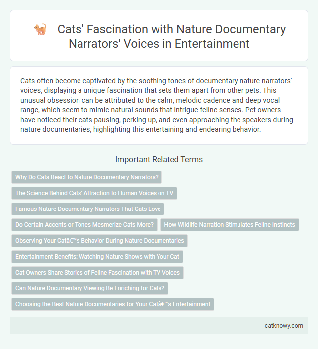 Cats' Fascination with Nature Documentary Narrators' Voices in Entertainment