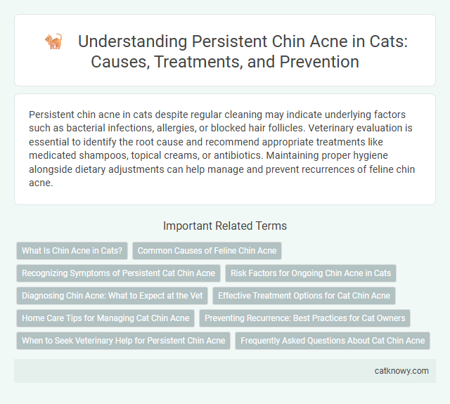 Understanding Persistent Chin Acne in Cats: Causes, Treatments, and Prevention