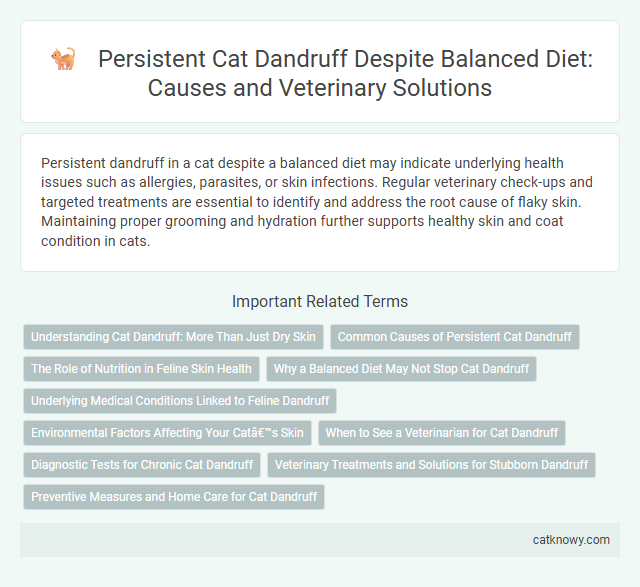 Persistent Cat Dandruff Despite Balanced Diet: Causes and Veterinary Solutions