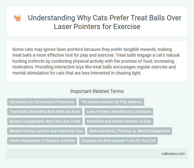 Understanding Why Cats Prefer Treat Balls Over Laser Pointers for Exercise
