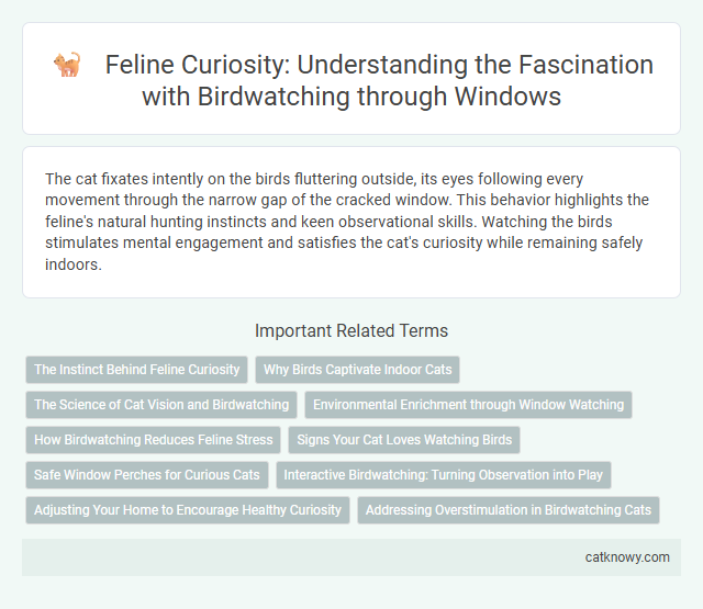 Feline Curiosity: Understanding the Fascination with Birdwatching through Windows