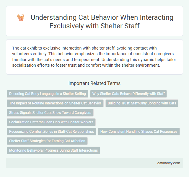 Understanding Cat Behavior When Interacting Exclusively with Shelter Staff