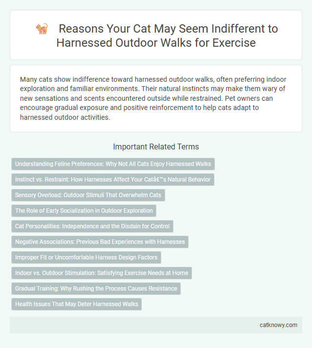 Reasons Your Cat May Seem Indifferent to Harnessed Outdoor Walks for Exercise