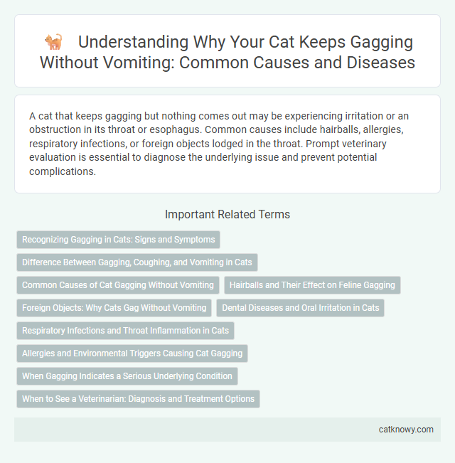 Understanding Why Your Cat Keeps Gagging Without Vomiting: Common Causes and Diseases