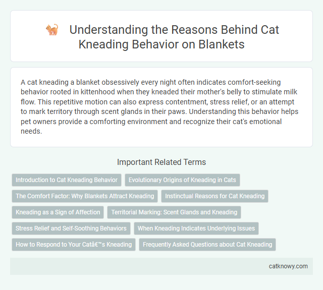 Understanding the Reasons Behind Cat Kneading Behavior on Blankets
