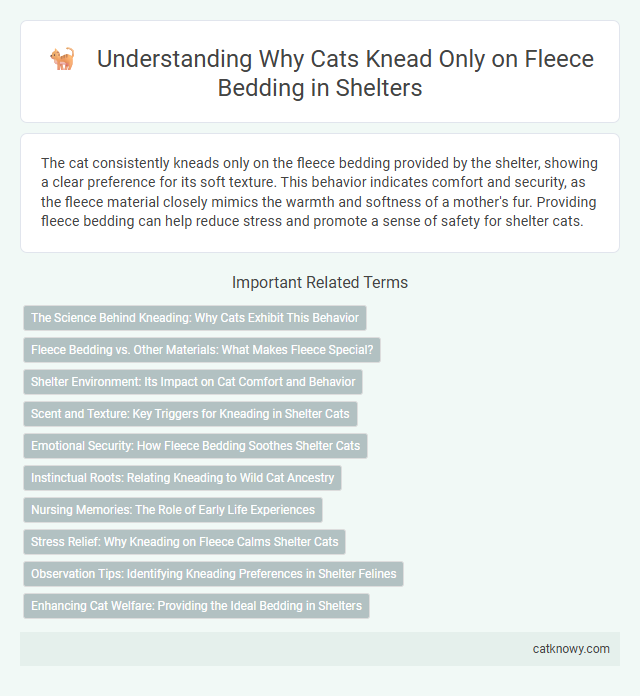 Understanding Why Cats Knead Only on Fleece Bedding in Shelters
