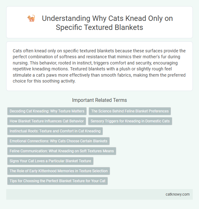 Understanding Why Cats Knead Only on Specific Textured Blankets