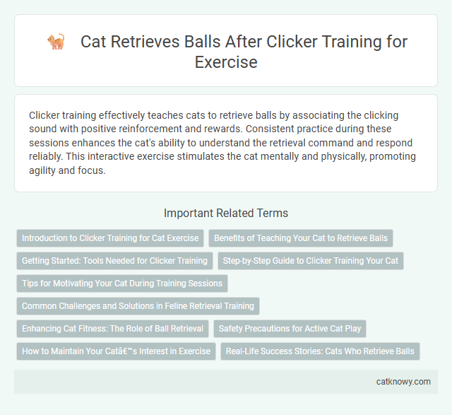 Cat Retrieves Balls After Clicker Training for Exercise