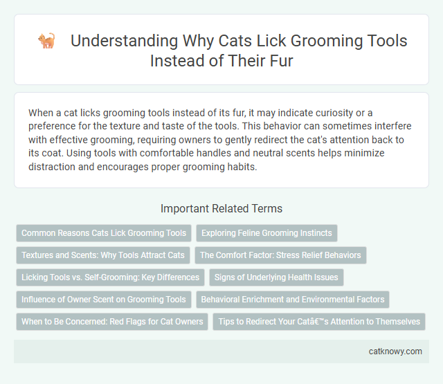 Understanding Why Cats Lick Grooming Tools Instead of Their Fur