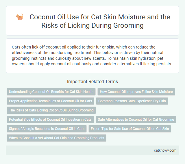 Coconut Oil Use for Cat Skin Moisture and the Risks of Licking During Grooming