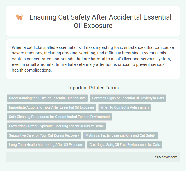 Ensuring Cat Safety After Accidental Essential Oil Exposure
