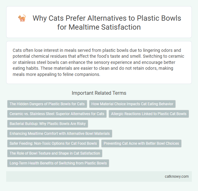 Why Cats Prefer Alternatives to Plastic Bowls for Mealtime Satisfaction