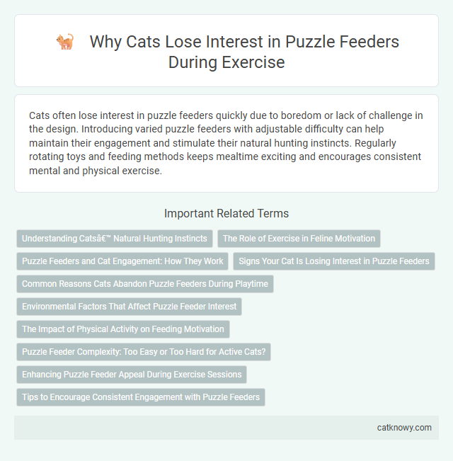 Why Cats Lose Interest in Puzzle Feeders During Exercise