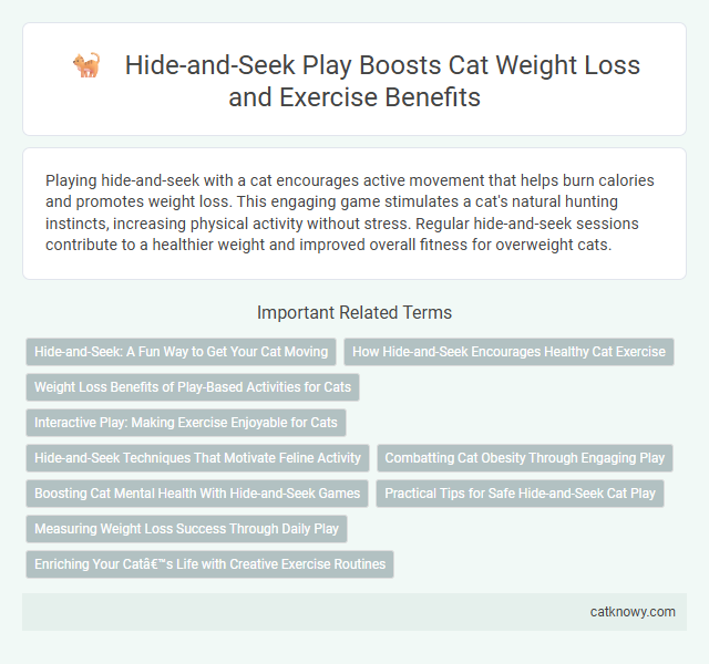 Hide-and-Seek Play Boosts Cat Weight Loss and Exercise Benefits
