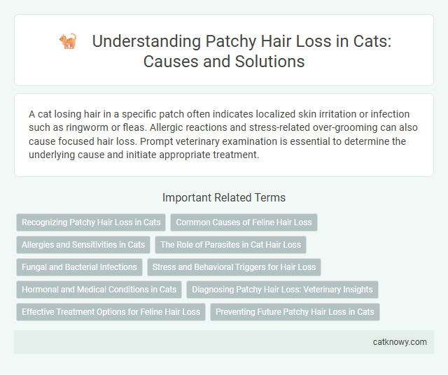Understanding Patchy Hair Loss in Cats: Causes and Solutions