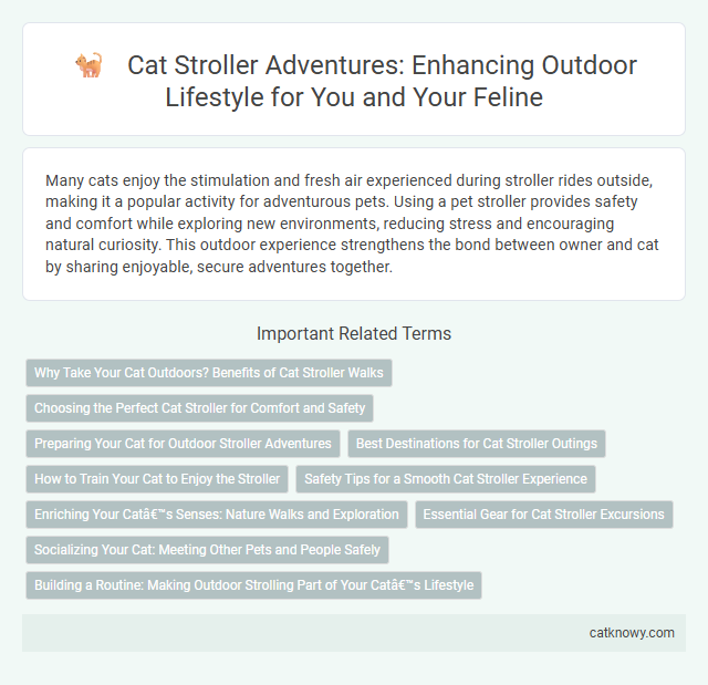Cat Stroller Adventures: Enhancing Outdoor Lifestyle for You and Your Feline