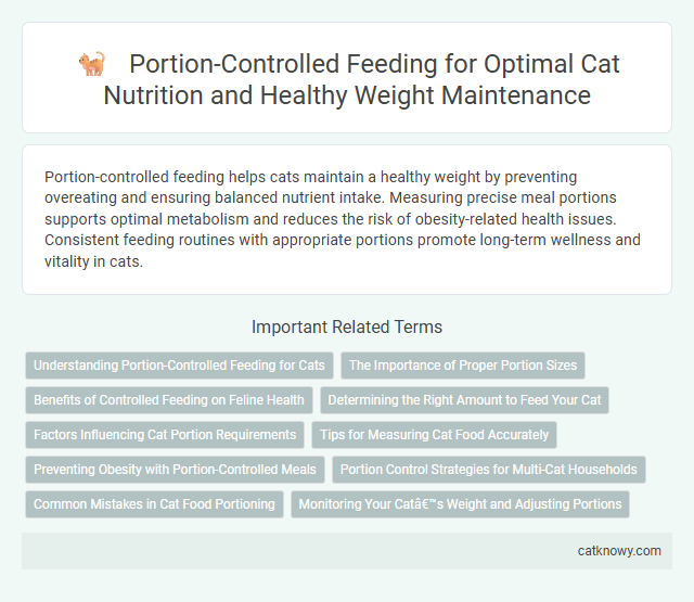 Portion-Controlled Feeding for Optimal Cat Nutrition and Healthy Weight Maintenance