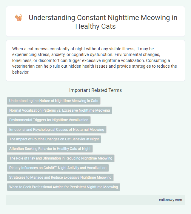 Understanding Constant Nighttime Meowing in Healthy Cats