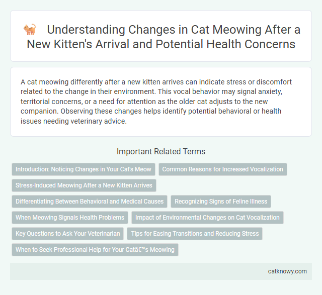 Understanding Changes in Cat Meowing After a New Kitten's Arrival and Potential Health Concerns