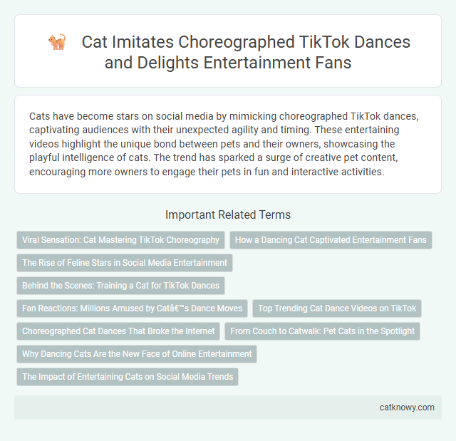 Cat Imitates Choreographed TikTok Dances and Delights Entertainment Fans