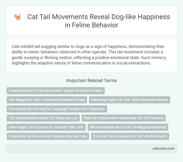 Cat Tail Movements Reveal Dog-like Happiness in Feline Behavior