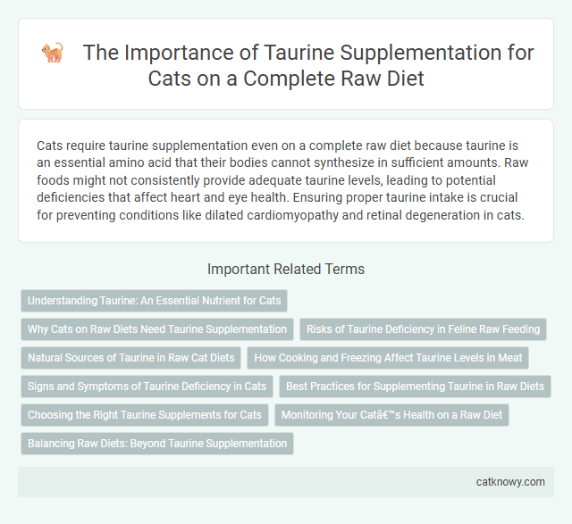 The Importance of Taurine Supplementation for Cats on a Complete Raw Diet
