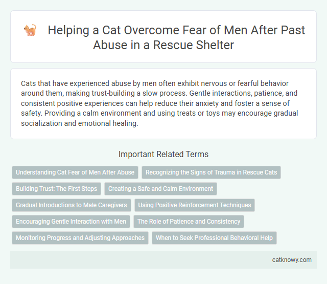 Helping a Cat Overcome Fear of Men After Past Abuse in a Rescue Shelter