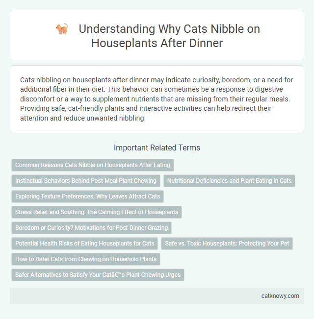 Understanding Why Cats Nibble on Houseplants After Dinner