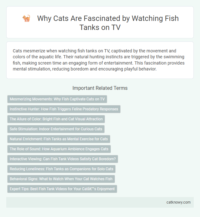 Why Cats Are Fascinated by Watching Fish Tanks on TV