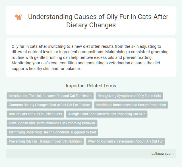 Understanding Causes of Oily Fur in Cats After Dietary Changes