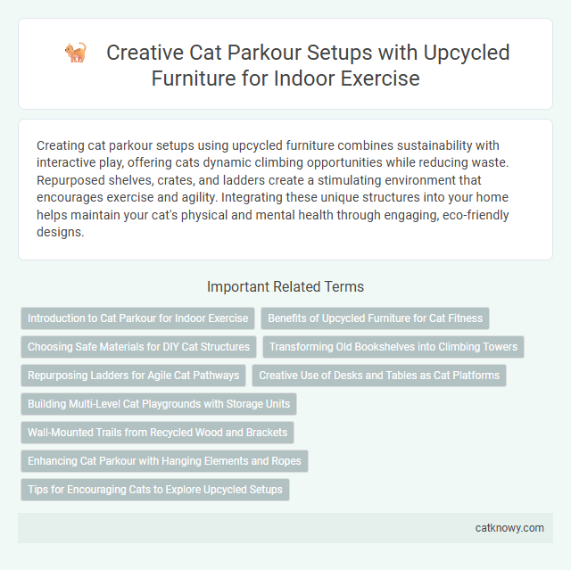 Creative Cat Parkour Setups with Upcycled Furniture for Indoor Exercise