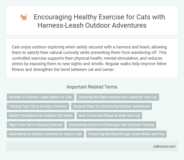 Encouraging Healthy Exercise for Cats with Harness-Leash Outdoor Adventures