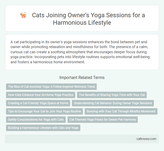 Cats Joining Owner's Yoga Sessions for a Harmonious Lifestyle